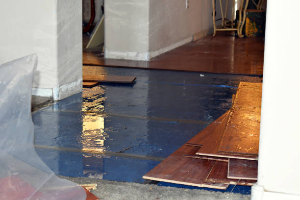 Professional Emergency Water Damage Restoration technician working in De Graff, OH
